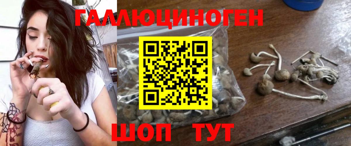 Псилоцибиновые грибы Magic Shrooms  Вход с VPN  Лесной  Галлюциногенные грибы MAGIC MUSHROOMS 